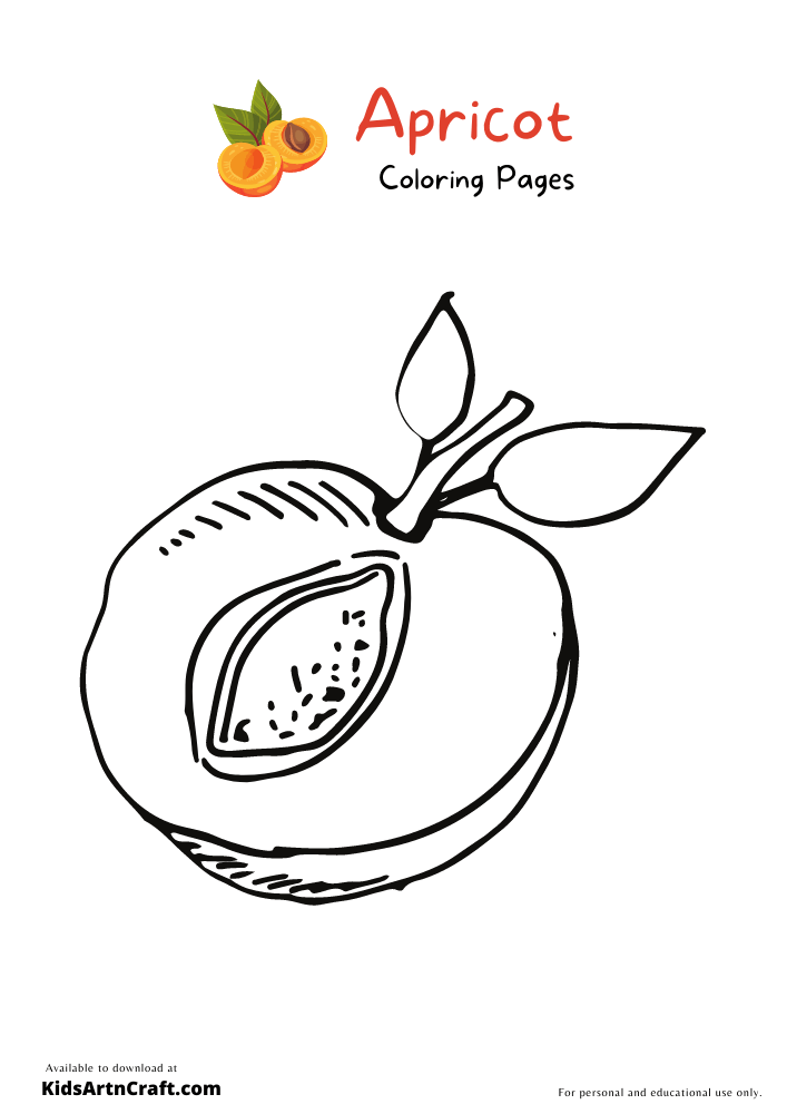 Apricot Coloring Pages-2