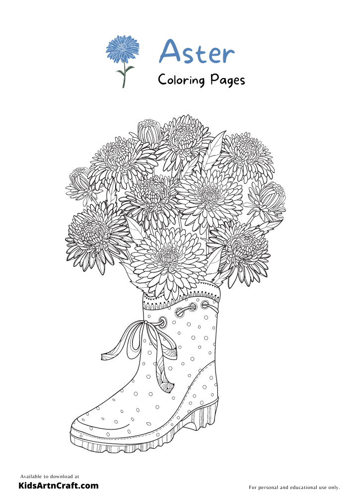Aster Coloring Pages For Kids – Free Printables