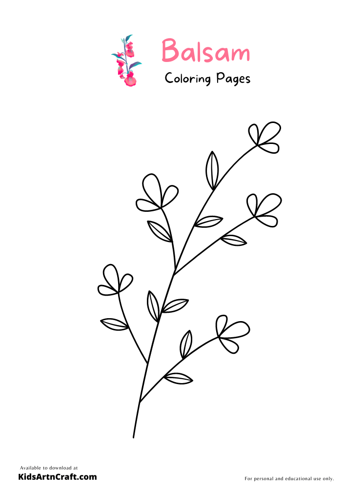 Balsam Coloring Pages For Kids – Free Printables