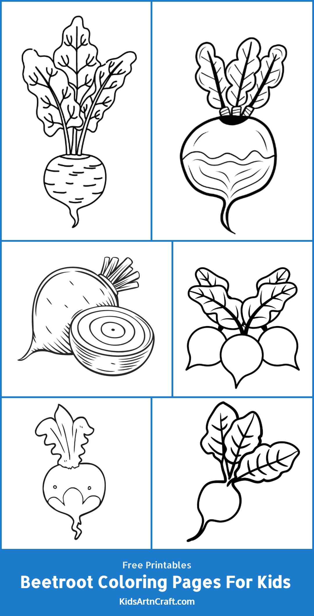 Beetroot Coloring Pages For Kids – Free Printables