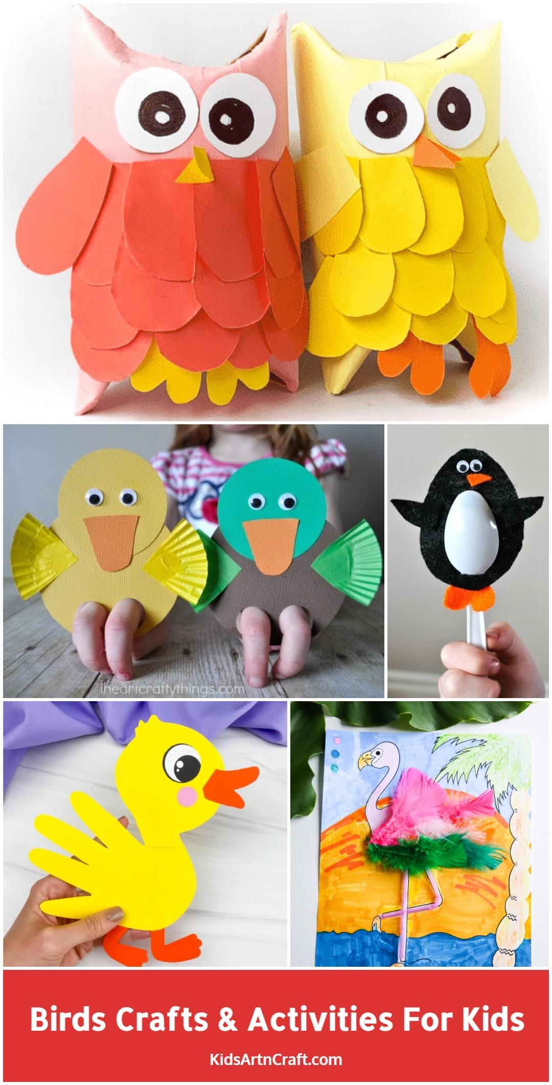Birds Crafts & Activities For Kids