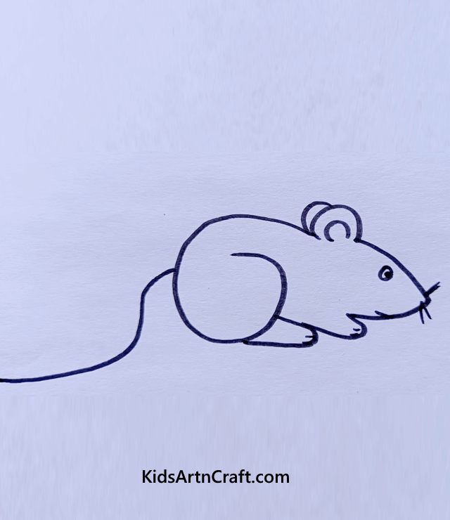 Let's Draw Some Creatures From Nature's Lap A Mouse