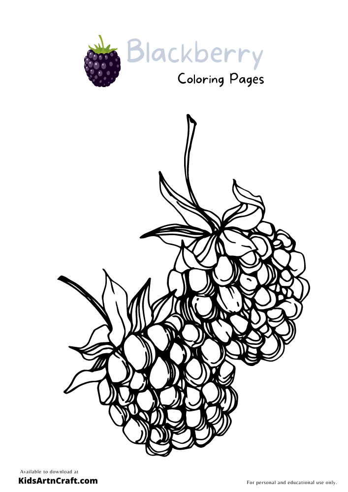 Blackberry Coloring Pages For Kids – Free Printables