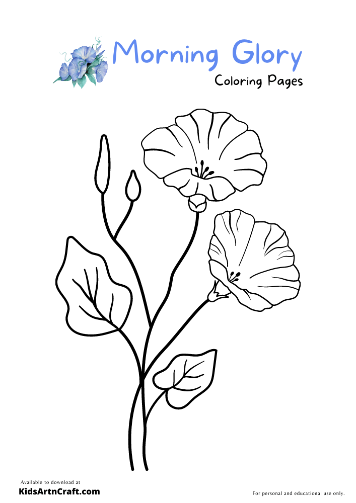 Blue Morning Glory Coloring Pages For Kids
