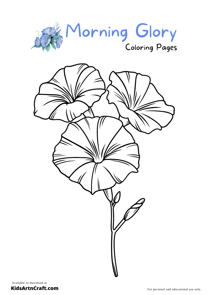 Blue Morning Glory Coloring Pages For Kids
