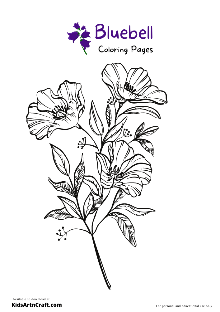 Bluebell Coloring Pages For Kids