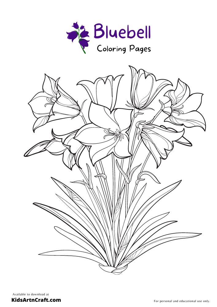 Bluebell Coloring Pages For Kids
