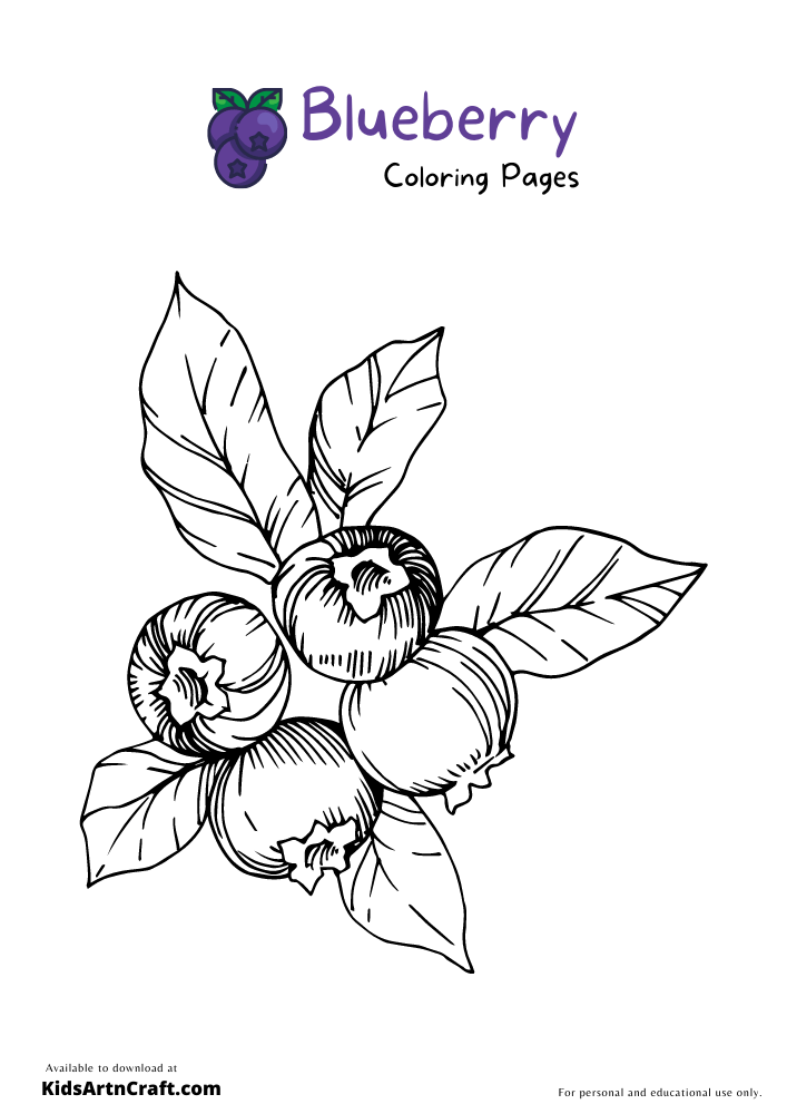 Blueberry Coloring Pages For Kids – Free Printables