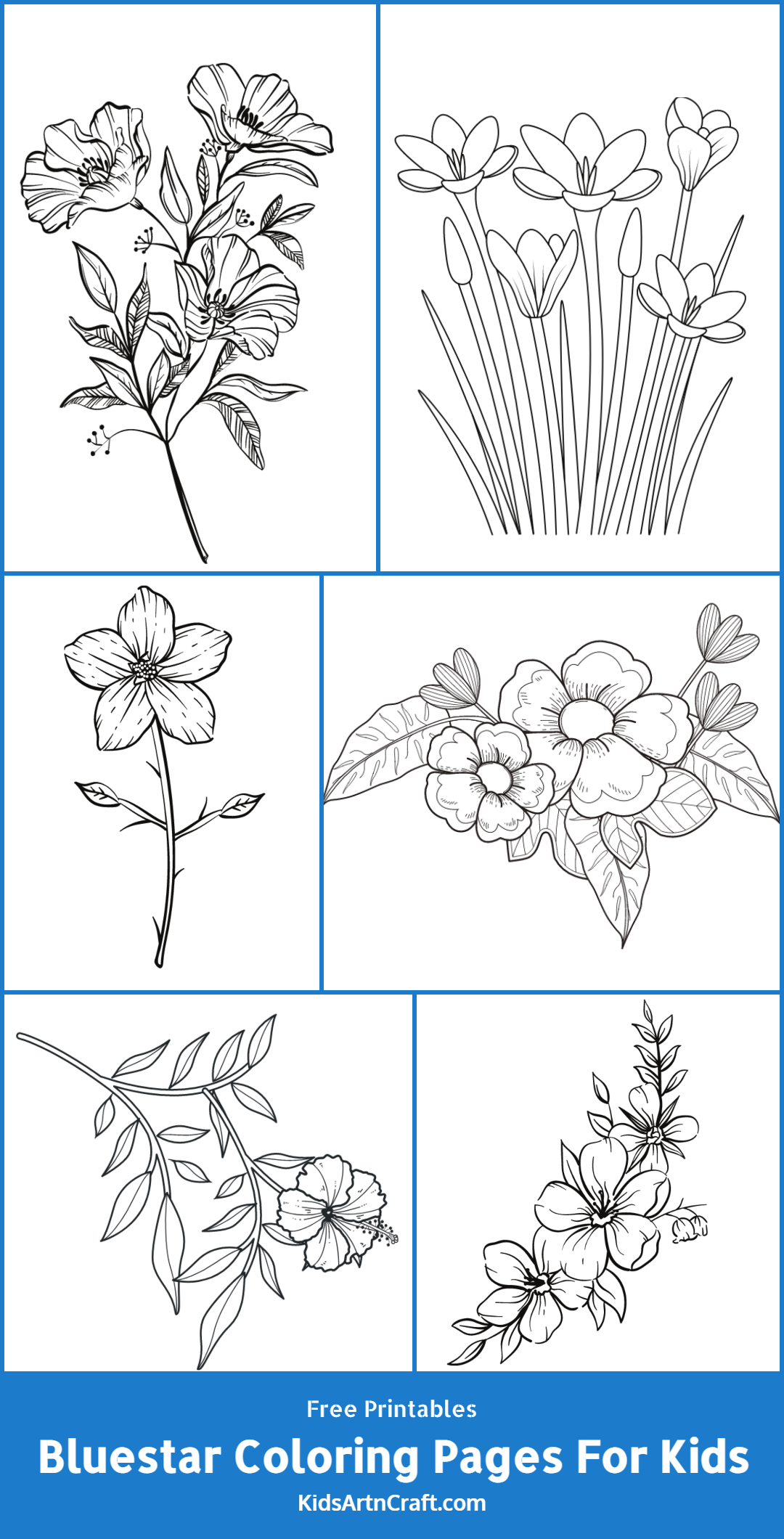 Bluestar Coloring Pages For Kids – Free Printables