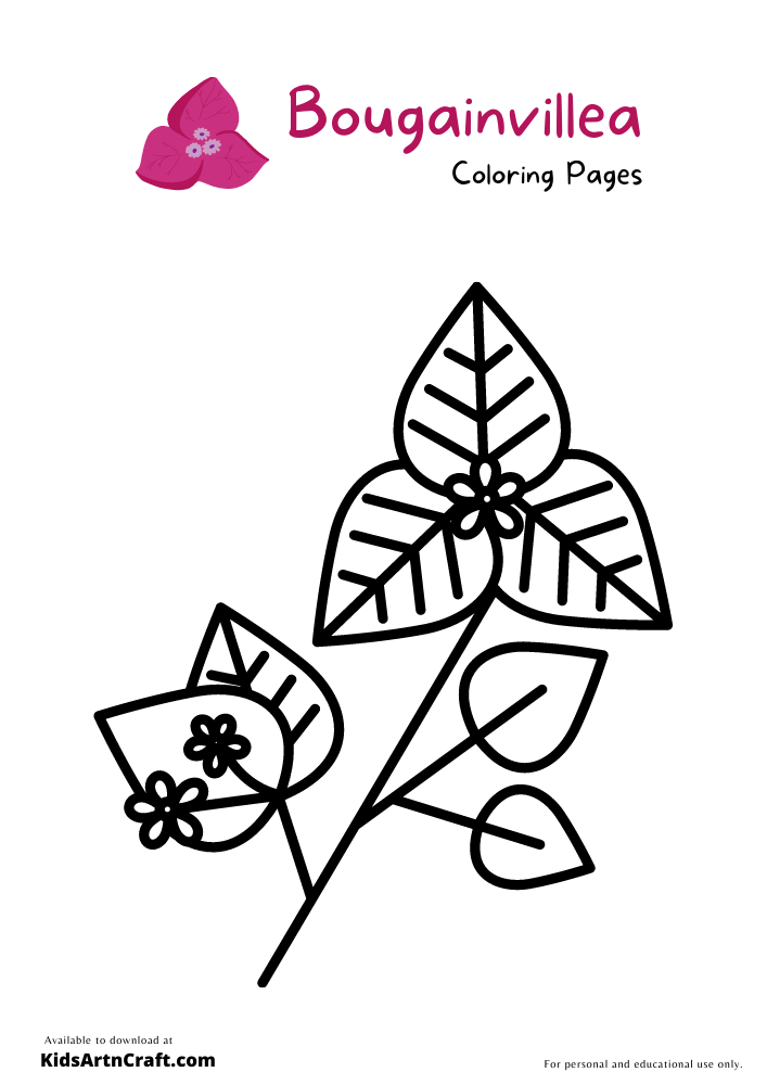 Bougainvillea Coloring Pages For Kids