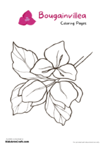 Bougainvillea Coloring Pages For Kids – Free Printables - Kids Art &amp; Craft