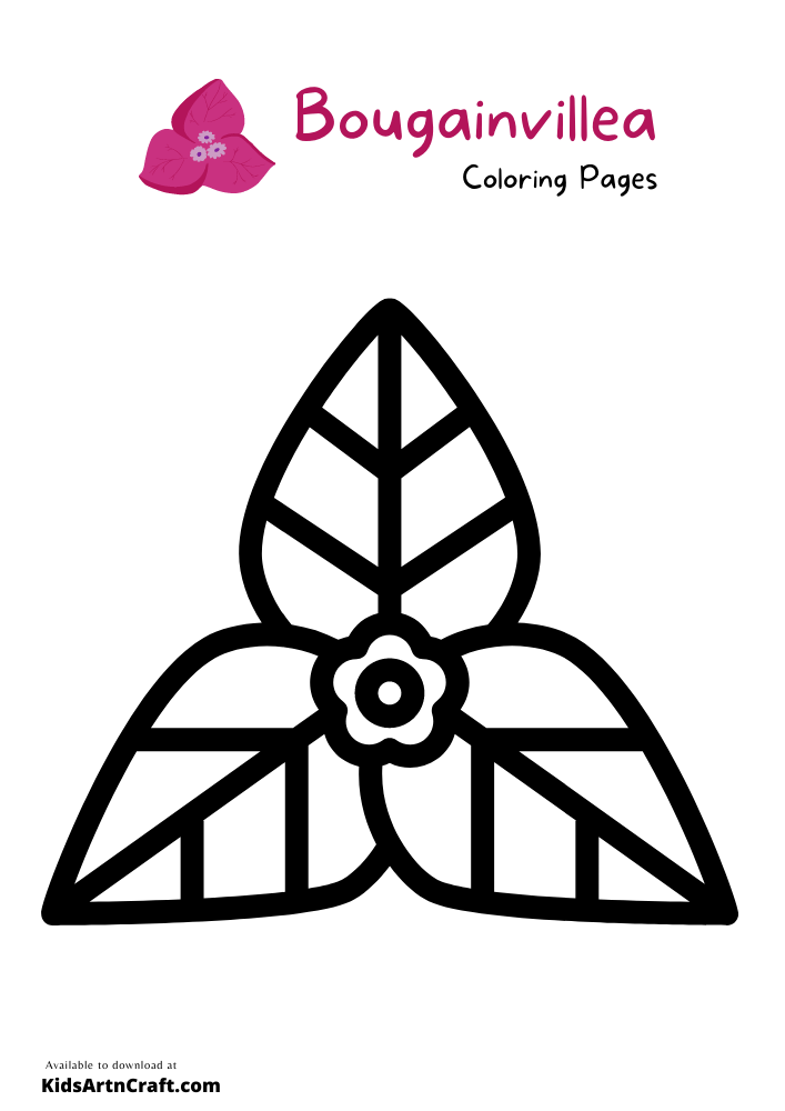 Bougainvillea Coloring Pages For Kids