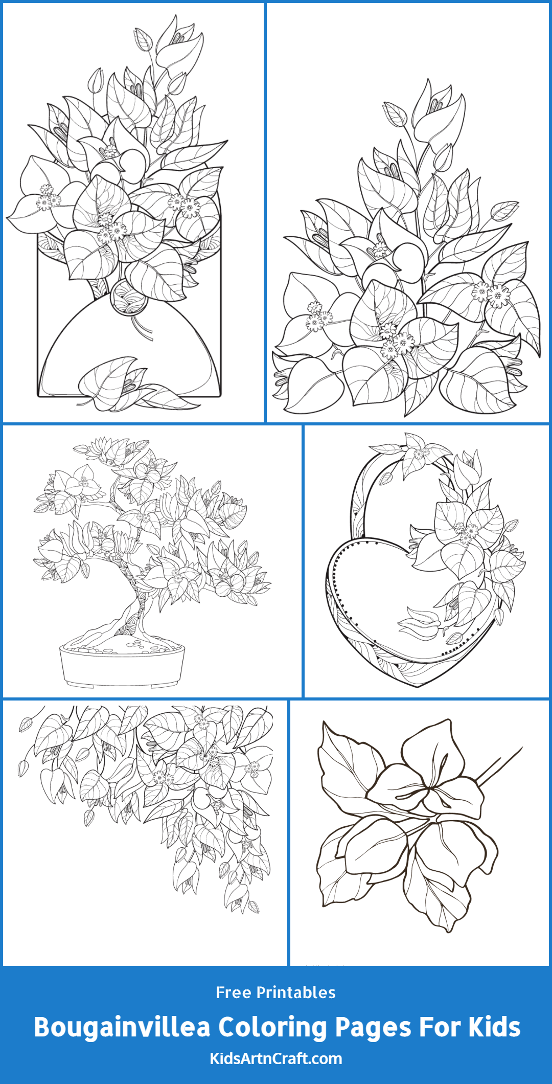 Bougainvillea Coloring Pages For Kids – Free Printables
