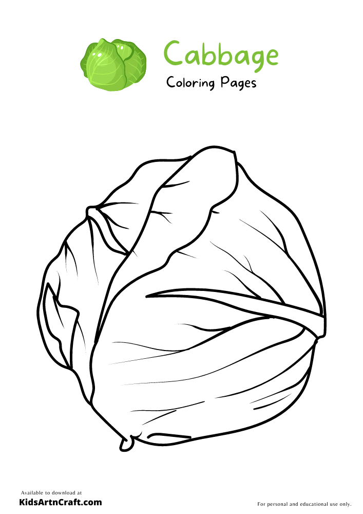 Cabbage Coloring Pages For Kids – Free Printables