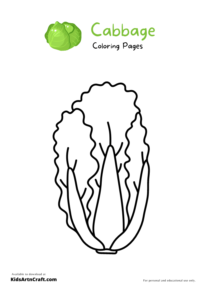 Cabbage Coloring Pages For Kids – Free Printables