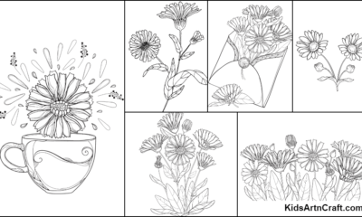 Calendula Coloring Pages For Kids – Free Printables