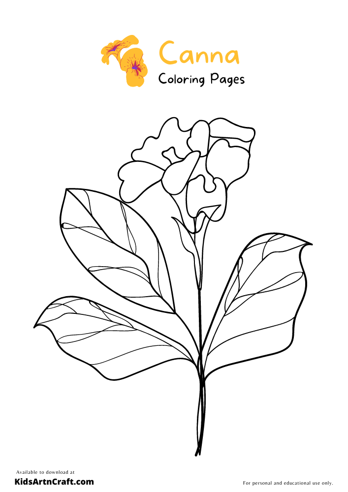 Canna Flower Coloring Pages For Kids – Free Printables