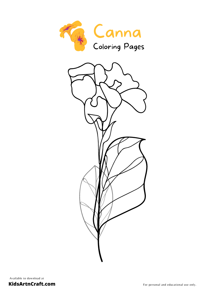 Canna Flower Coloring Pages For Kids – Free Printables