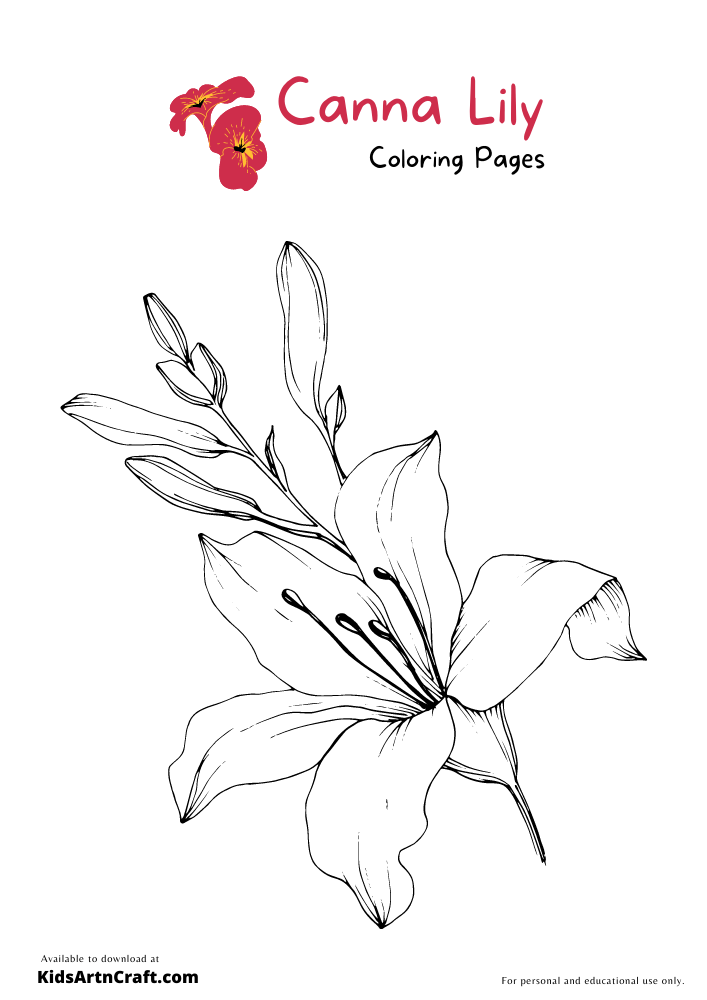 Canna Lily Coloring Pages For Kids – Free Printables