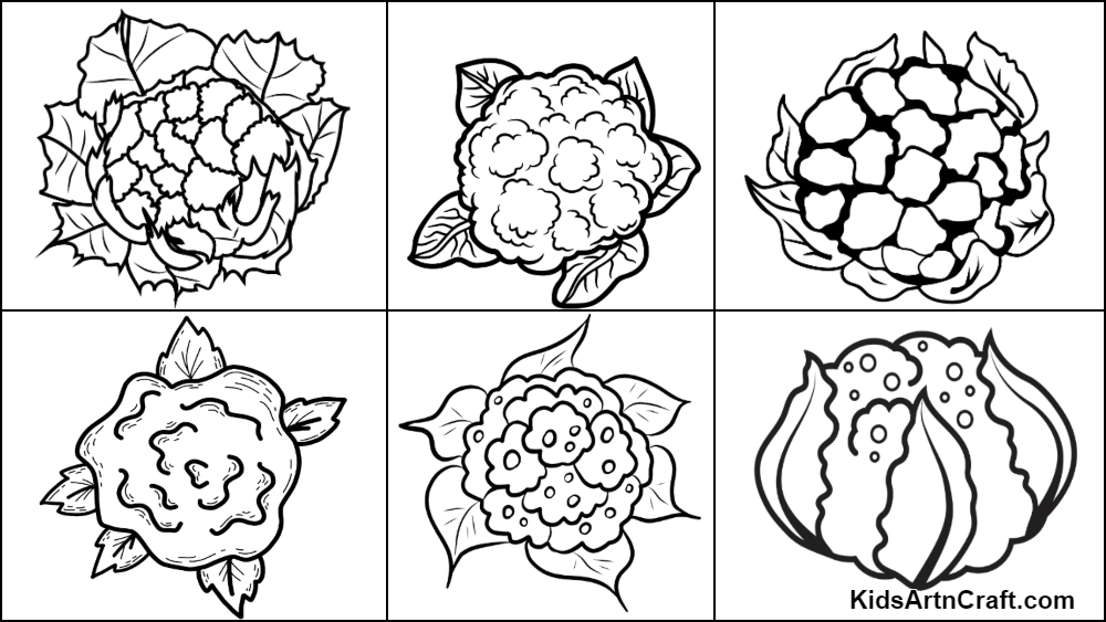 Cauliflower Drawing - HelloArtsy