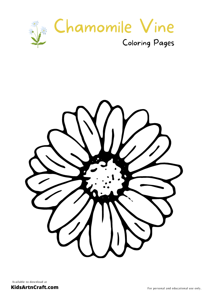 Chamomile Vine Coloring Pages For Kids