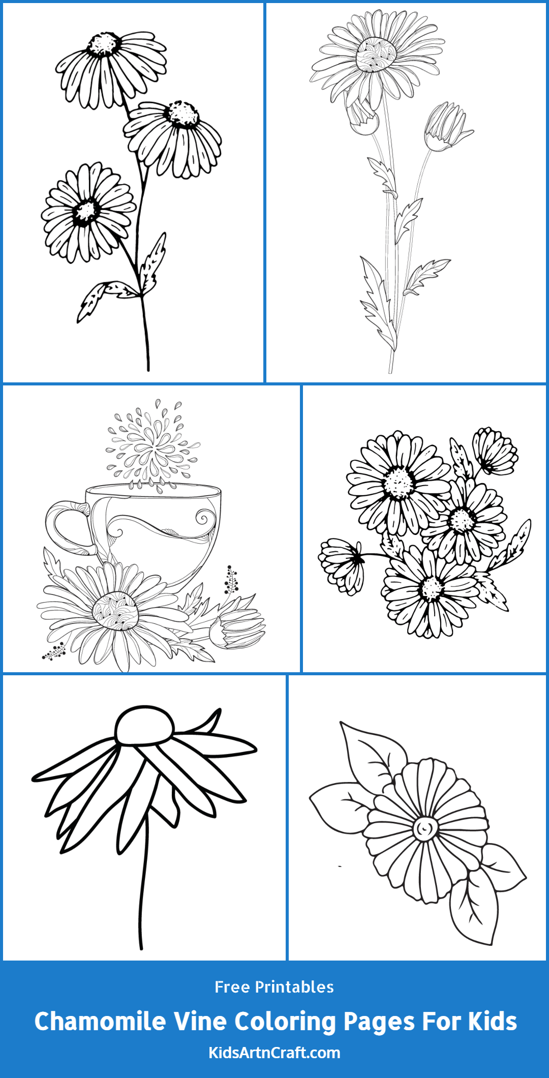 Chamomile Vine Coloring Pages For Kids – Free Printables