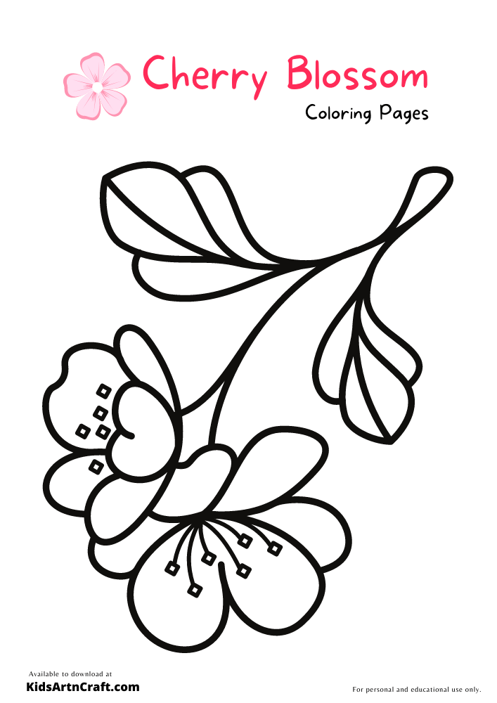 Cherry Blossom Coloring Pages For Kids – Free Printables