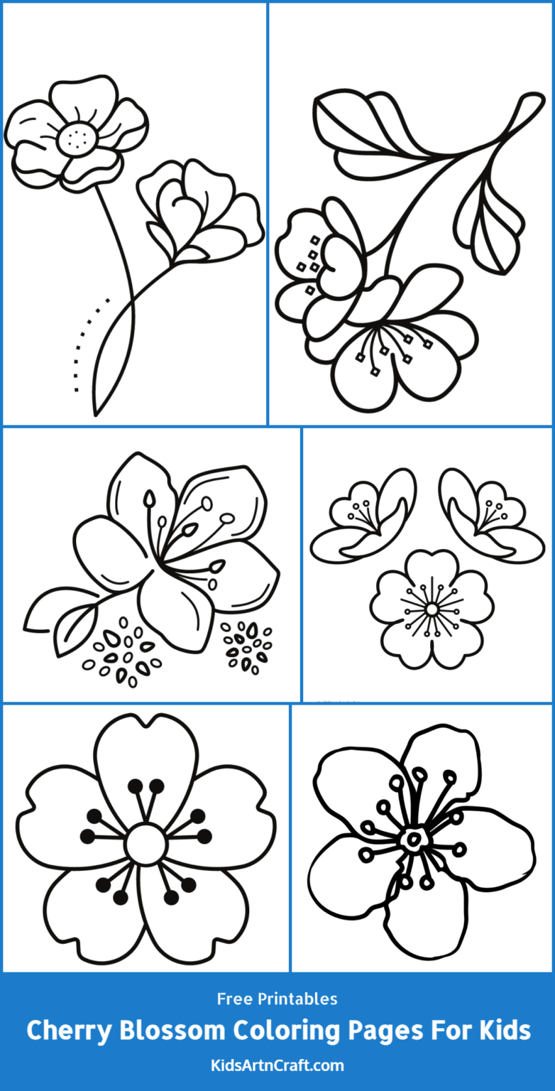 Cherry Blossom Coloring Pages For Kids – Free Printables - Kids Art & Craft