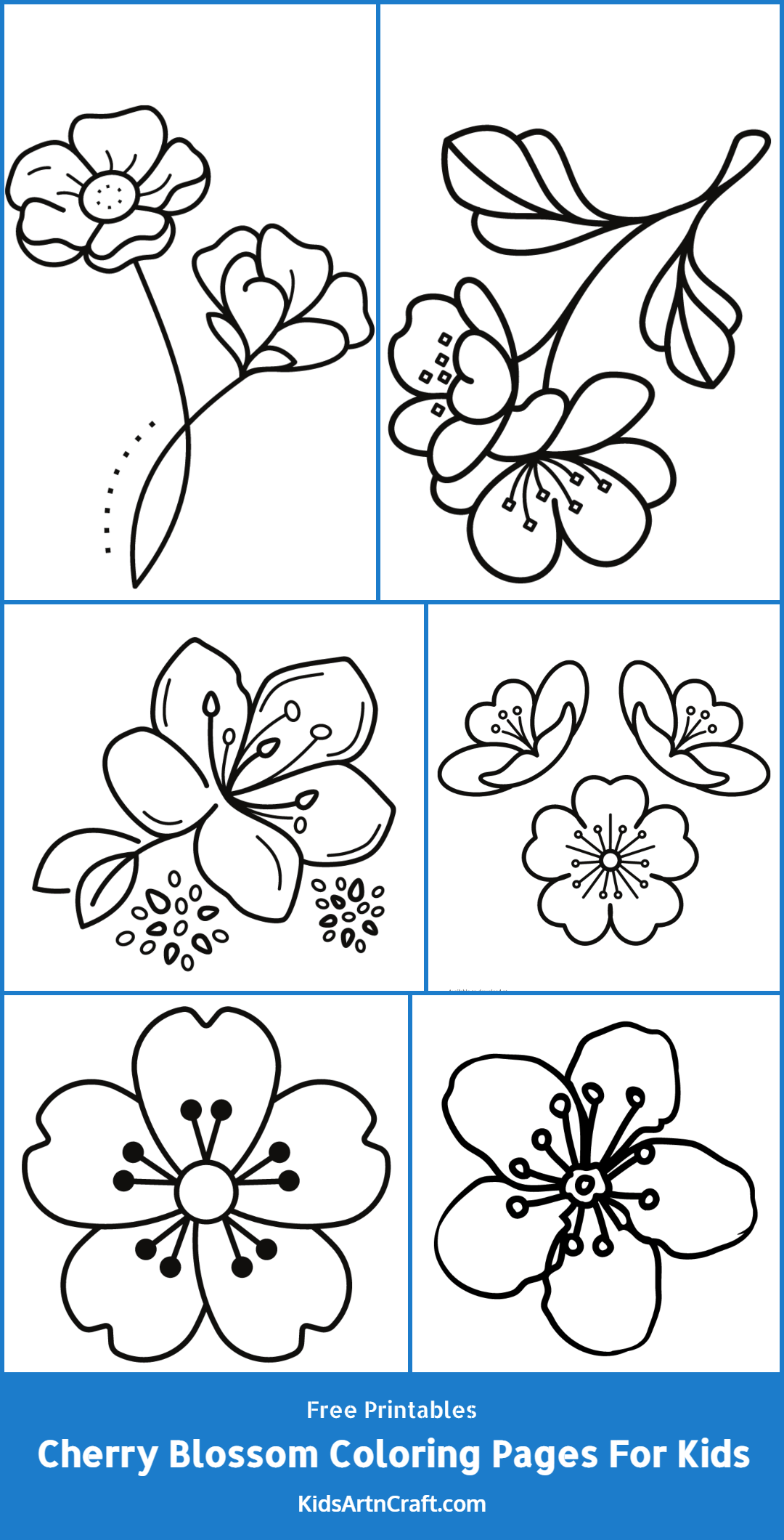Cherry Blossom Coloring Pages For Kids – Free Printables