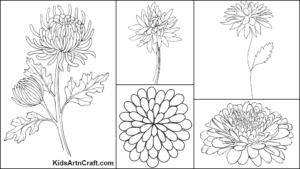 Chrysanthemum Coloring Pages For Kids – Free Printables - Kids Art & Craft