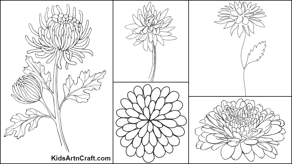 chrysanthemum-coloring-pages-for-kids-free-printables