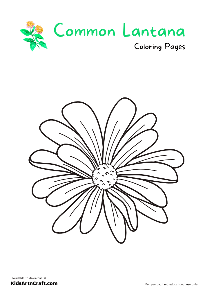Common Lantana Coloring Pages For Kids