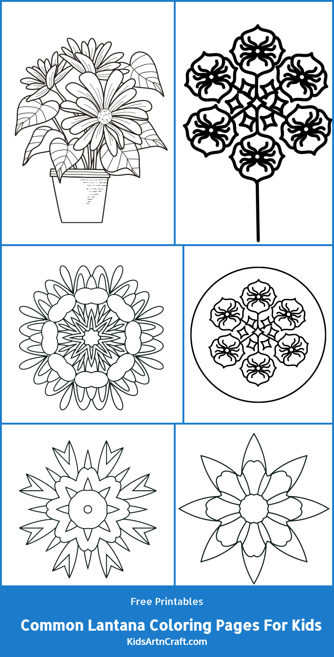 Common Lantana Coloring Pages For Kids – Free Printables