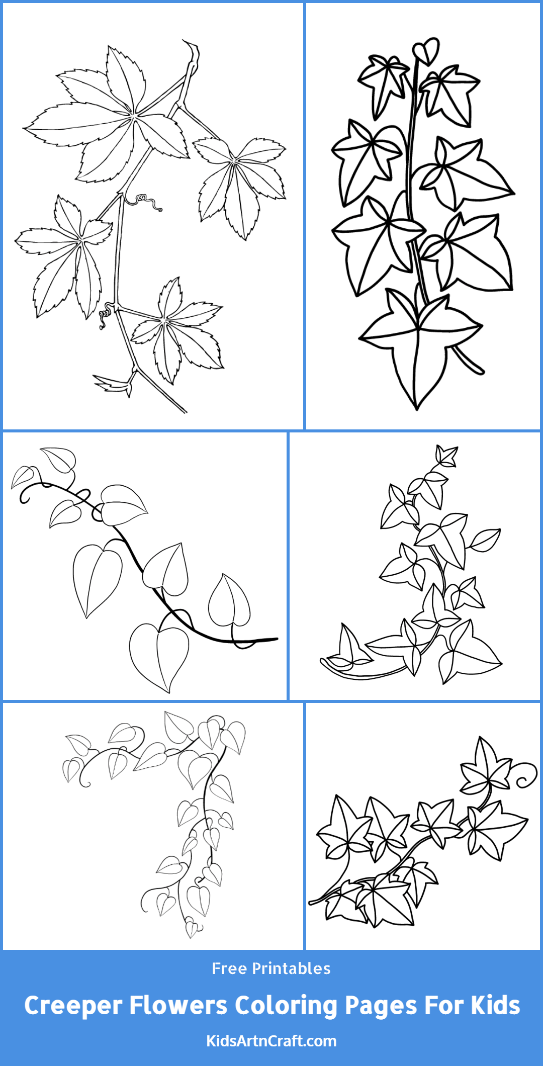 Creeper Flowers Coloring Pages For Kids – Free Printables