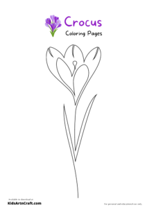Crocus Coloring Pages For Kids – Free Printables - Kids Art & Craft