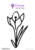 Crocus Coloring Pages For Kids – Free Printables - Kids Art & Craft