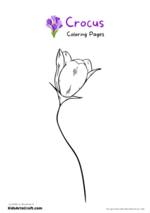 Crocus Coloring Pages For Kids – Free Printables - Kids Art & Craft