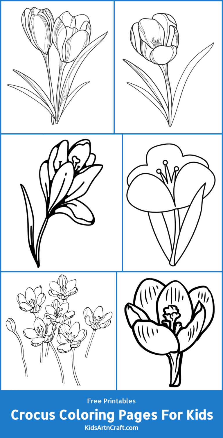 Crocus Coloring Pages For Kids – Free Printables - Kids Art & Craft