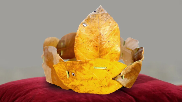 Crown Craft From Jackfruit Leaves