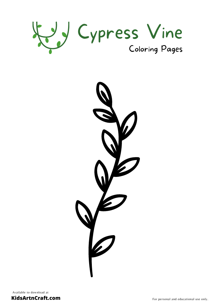 Cypress Vine Coloring Pages For Kids