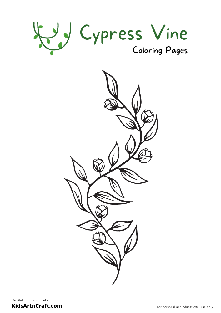 Cypress Vine Coloring Pages For Kids