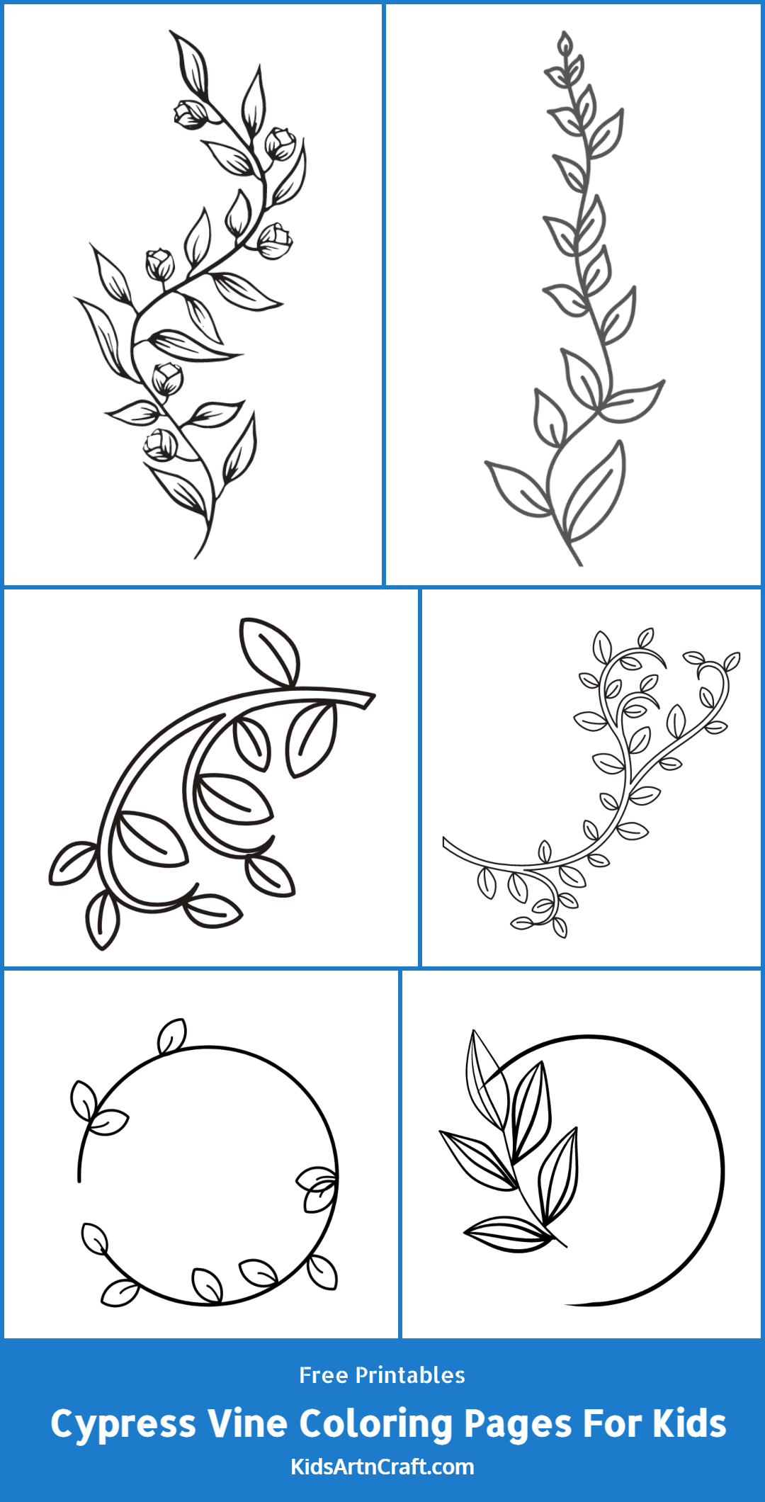 Cypress Vine Coloring Pages For Kids – Free Printables