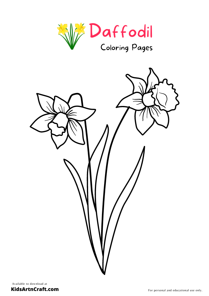 Daffodil Coloring Pages For Kids – Free Printables