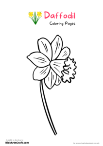 Daffodil Coloring Pages For Kids – Free Printables - Kids Art & Craft