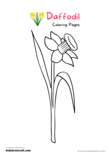 Daffodil Coloring Pages For Kids – Free Printables - Kids Art & Craft