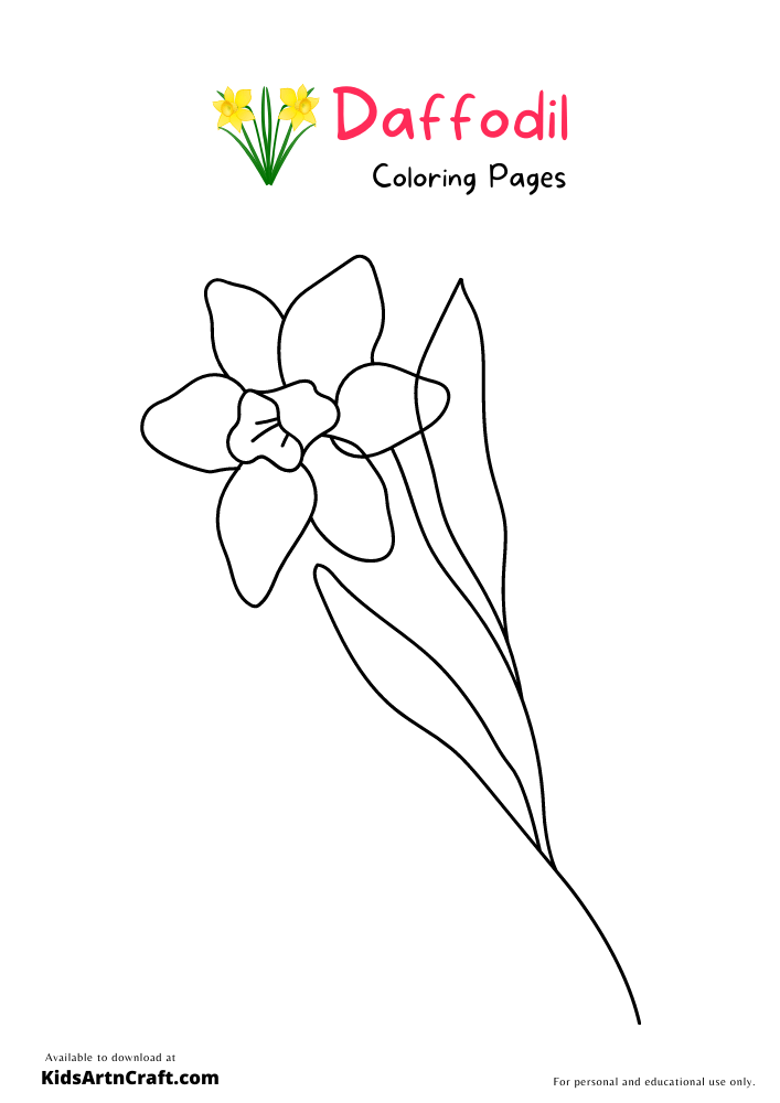 Daffodil Coloring Pages For Kids – Free Printables