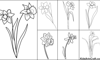 daffodil-coloring-pages-for-kids-free-printables