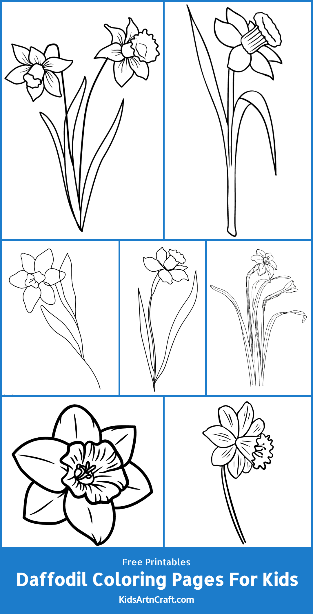 daffodil-coloring-pages-for-kids-free-printables