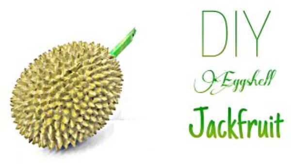 DIY Eggshell Jackfruit Craft Idea For kids-Jackfruit Projects for Children
