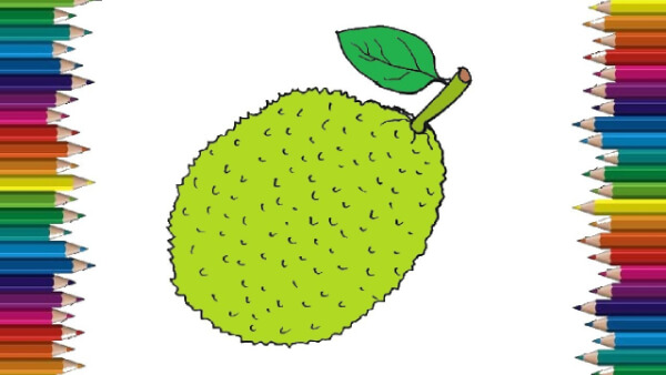 How To Draw Jackfruit Fruit Jackfruit Crafts & Activities for Kids-Jackfruit Art Projects for Children